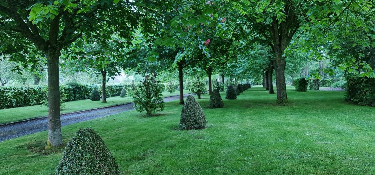 Le Manoir Des Marronniers Hotel Sully  Exterior foto